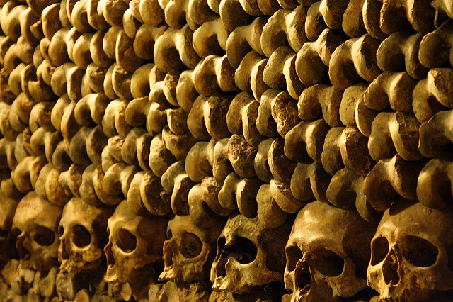 278508869_7d6c301bb3_z