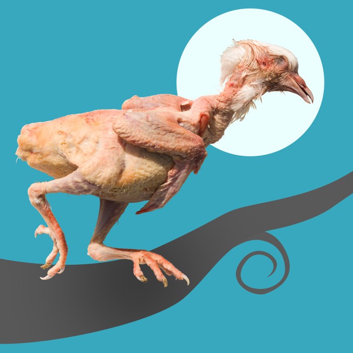 3468928903_b910ed3d5c_b