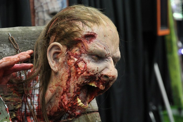 11140184813_128e0b929a_c